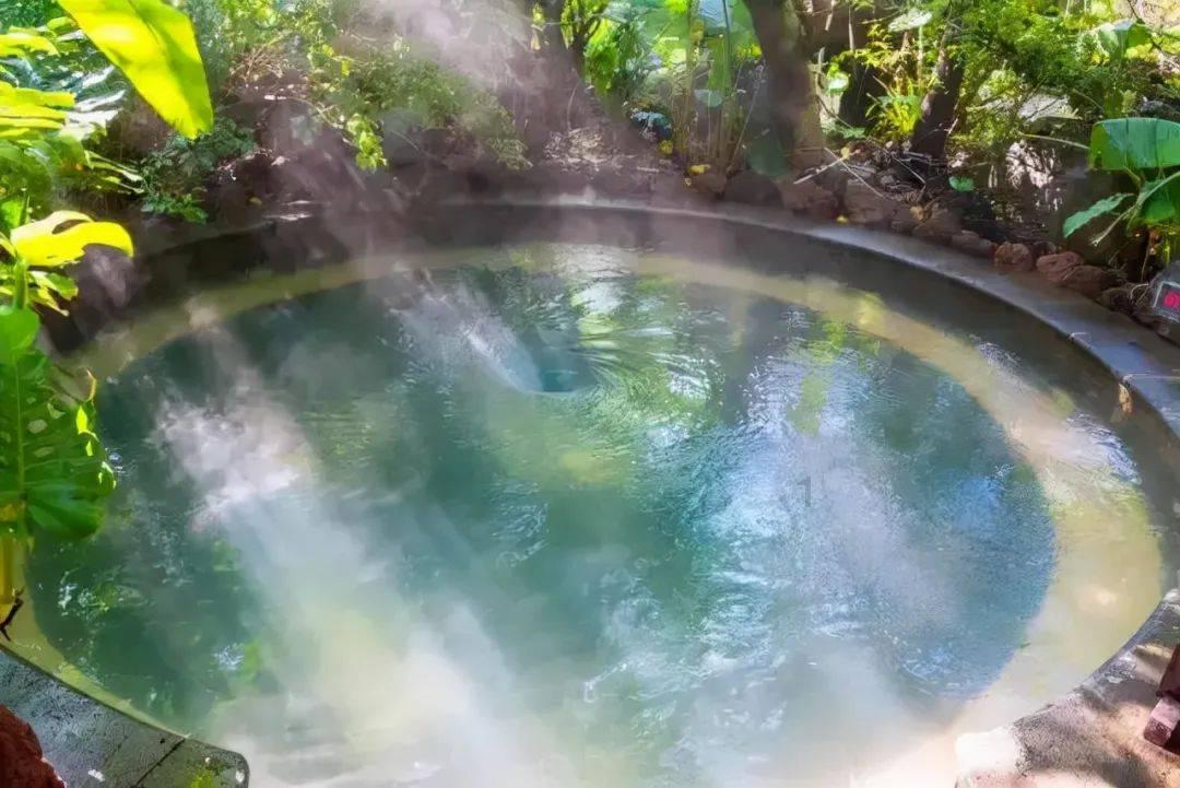 你有因为旅行和朋友闹掰过吗？游戏画面