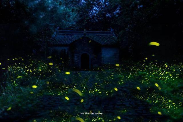 戳泡泡练口算