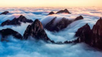 快刺水果